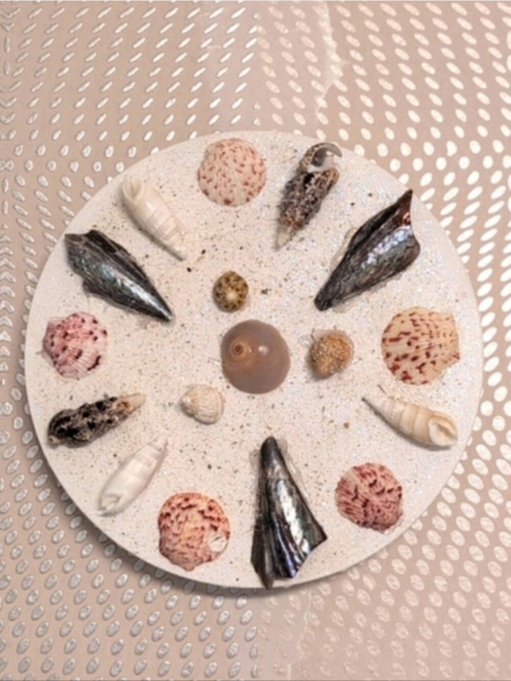 Seashell Art Wall Art. Home Decor Beach Art Coastal Home Goods - Picture 2 of 9